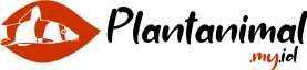 Plantanimal